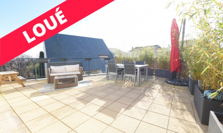 Appartement 4-5 pièces 110 m² + Terrasse & Loggia de 50 m²